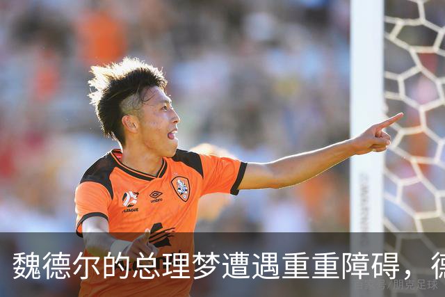 魏德尔的总理梦遭遇重重障碍，德国政局风云变幻